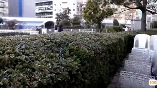 19+일본+야동SNB骚母狗一个操得哇哇叫口交无套内射